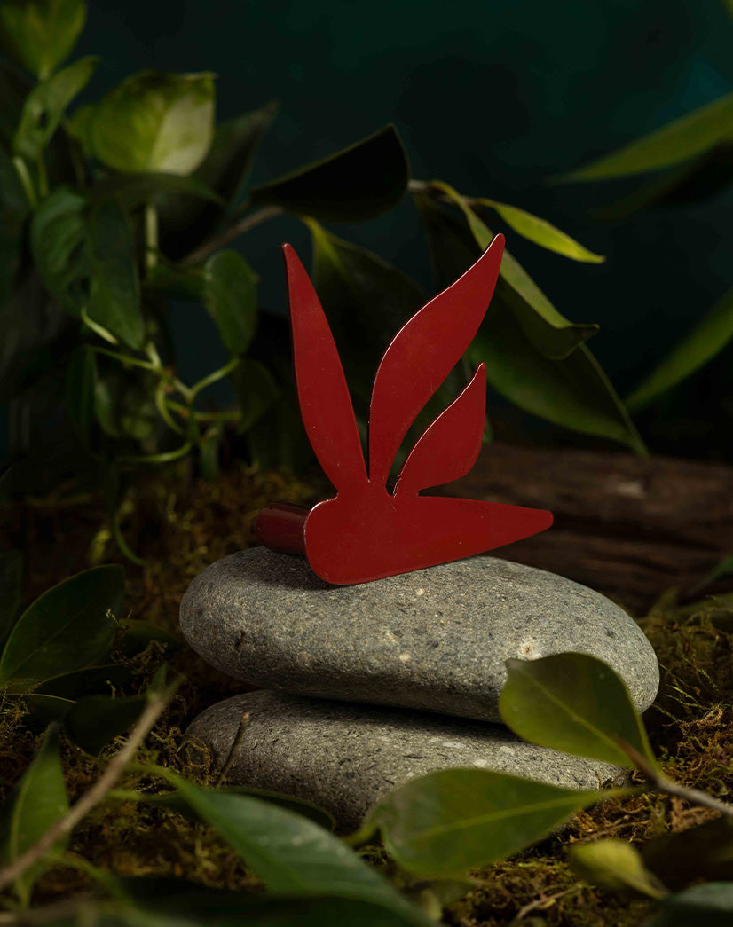 Bird from paradise