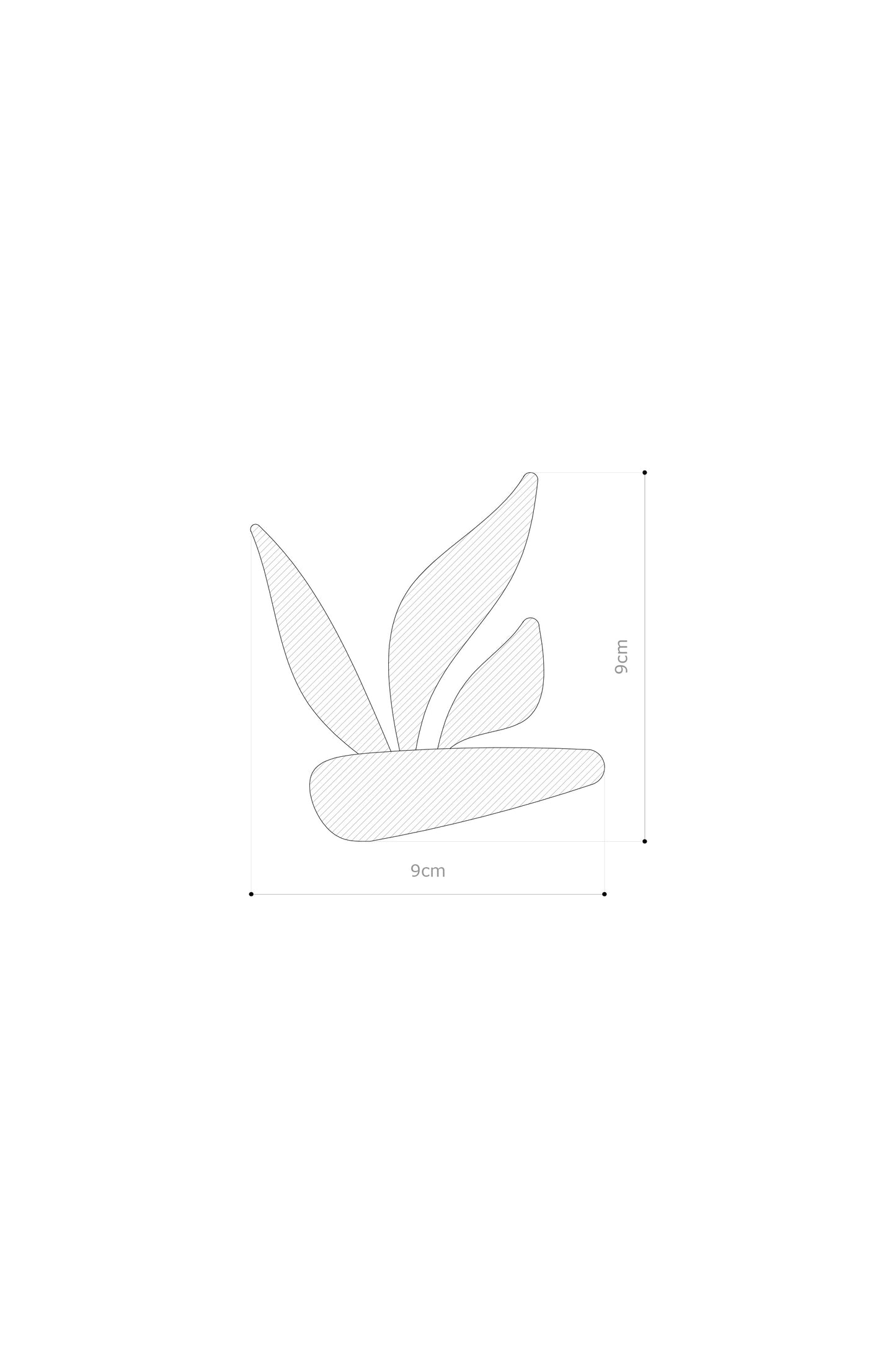 Bird from paradise